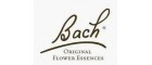 Logo de Bach