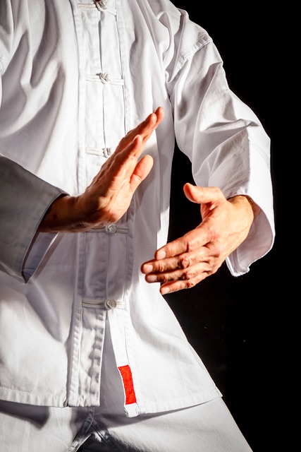 tai-chi-4011041_640